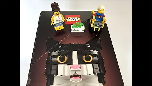 LEGO Ideas 21349 Smokinli Kedi Seti