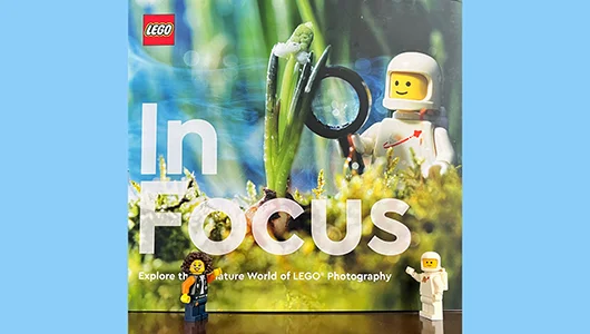 LEGO In Focus