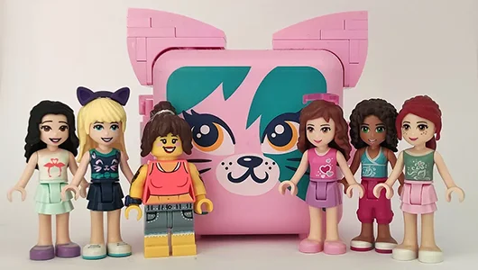 LEGO Friends Karakterlerinin Başına Gelenler