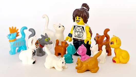 LEGO Kedi Figürleri