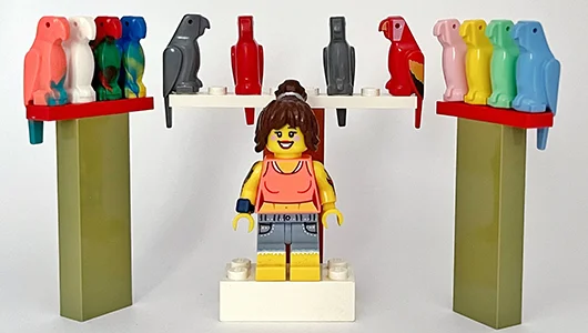 LEGO Parrot Figures